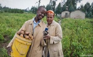 Mobile app assists farmers monitor soil and weather conditions