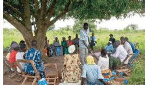 Village banks provide cheap financing for rural farmers