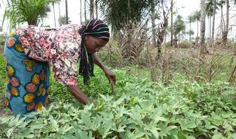 Kenya-women-farmers