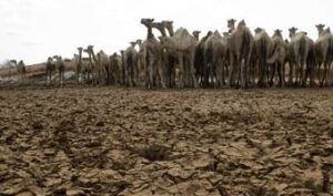 World Bank launches manual to coordinate climate change interventions