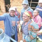 Dairy farmers to earn over Sh4.5bn from KCC plant upgrade programme