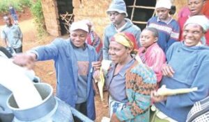 Milk bulking emerges as farmers’ new cash cow
