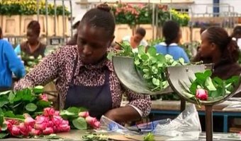 kenya flower exporters