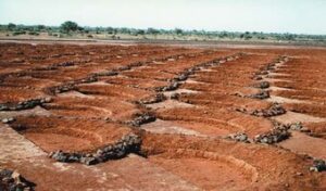 ‘Half moon’ contours turn Isiolo deserts into agricultural oases