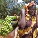 Nyandarua farmers growing popular flowers for export