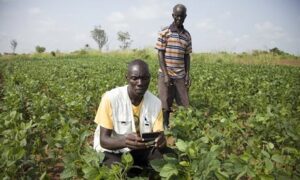 App cuts time and cost of connecting farmers