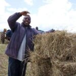 Nakuru hay farmer commended by UK