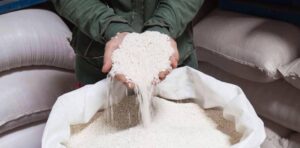 Zero Fly storage bags to reduce post harvest loses by 30%