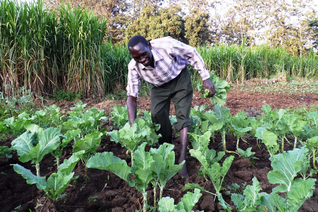 Willy Muiru weeding his shamba which is outside the Nairobi National Park, bordering Ongata Rongai. He earns at least Sh15,000 monthly form this pubic purpose land. PHOTO-LABAN ROBERT..JPG