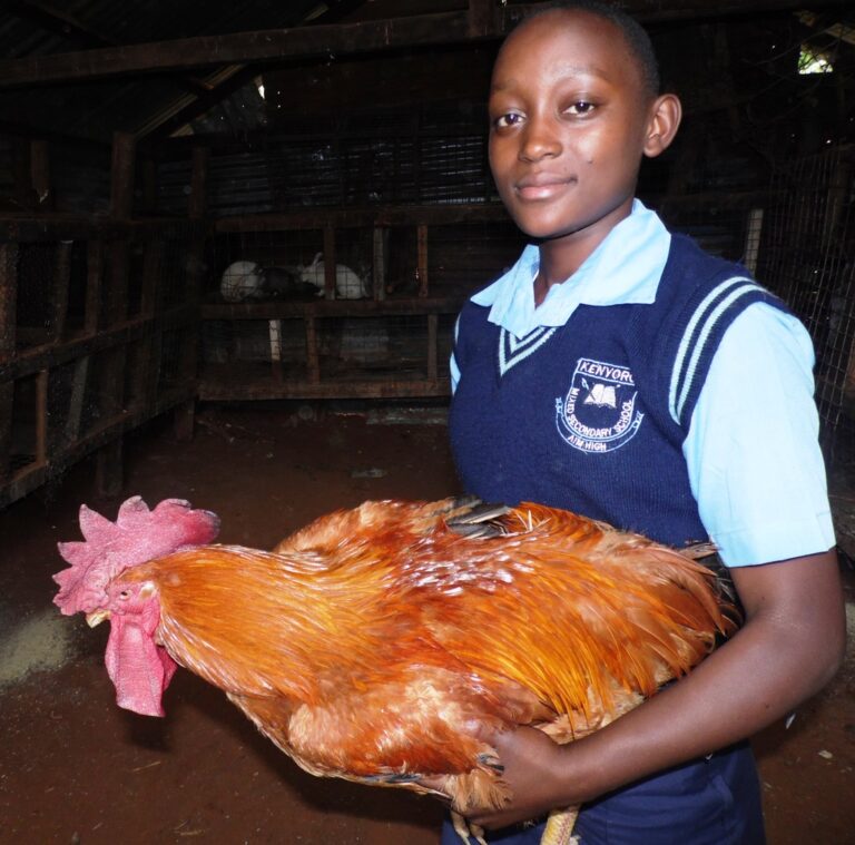 ChickenSchoolgirlKisiiASKShowByLabanRobert.JPG