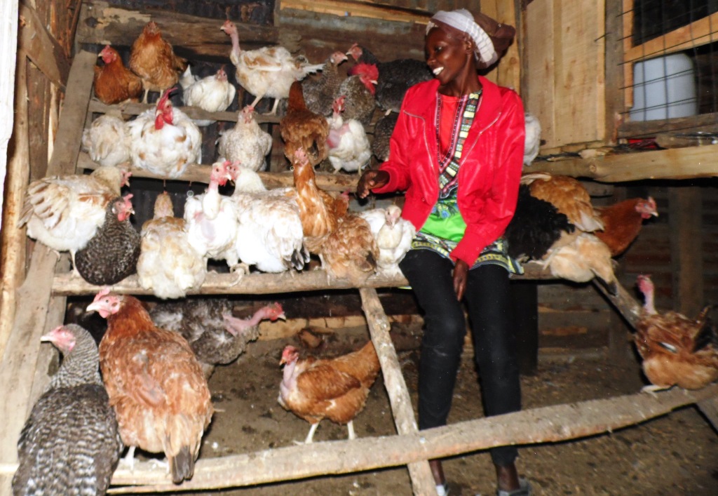Chickens Mary Njeri Nakuru By Laban Robert (2).JPG