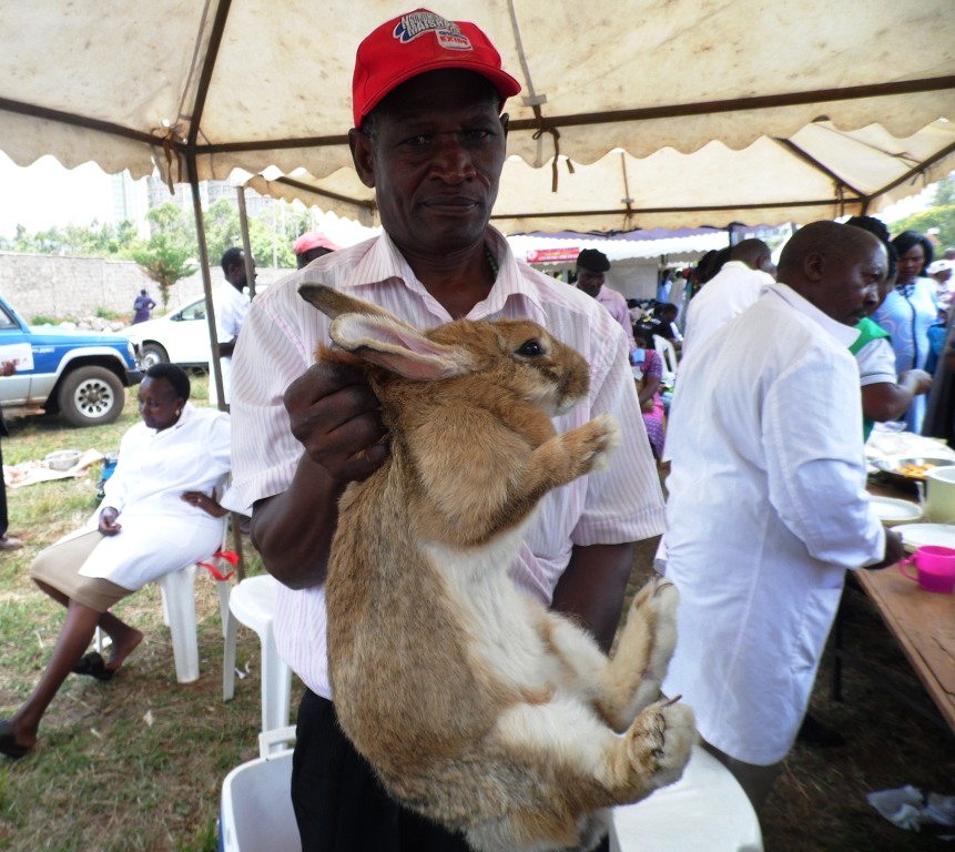 Rabbit Thika, Godfrey Njoroge By Laban Robert.JPG