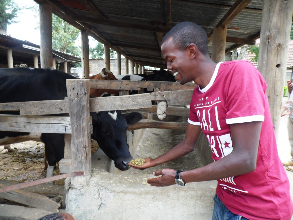 fodder Farmpro Kevin Maingi Nakuru By Laban Robert.JPG