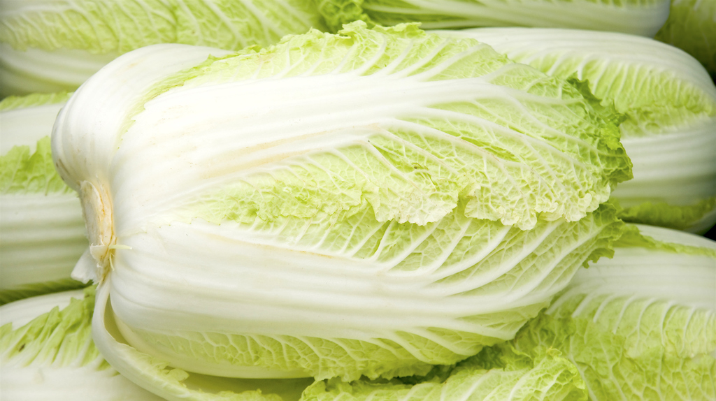 Napa cabbage. Photo by Sheknows.jpg