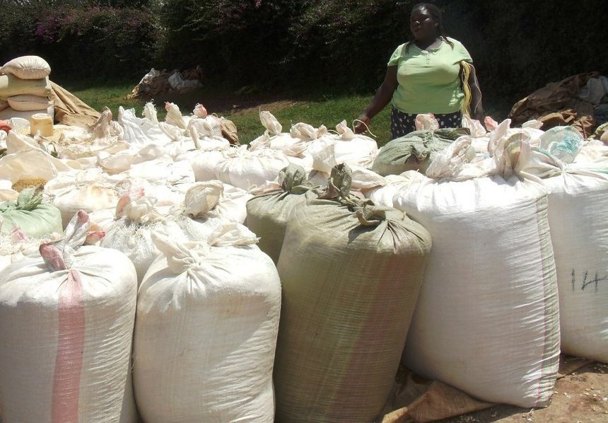 maize bags by The Star.jpg