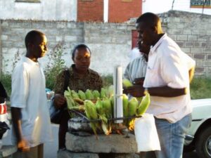 maize green photo by Saijiki for Kenya and other tropical regions.jpg