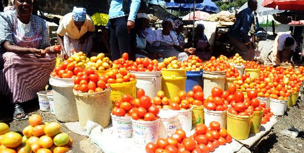tomatoes phot by Business Daily.jpg