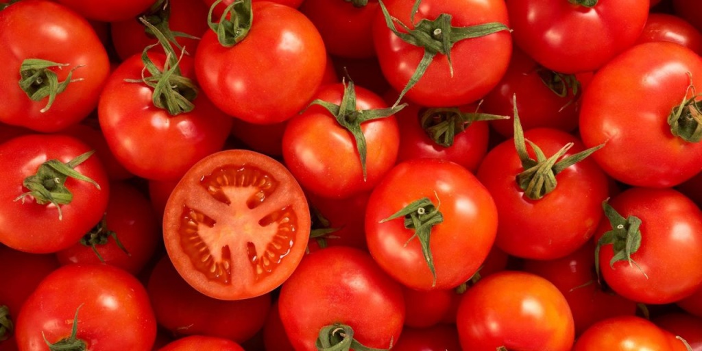 Tomatoes photo by BBC.jpg