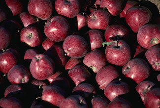 Red Apples.jpg