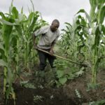 African-farmer.jpg