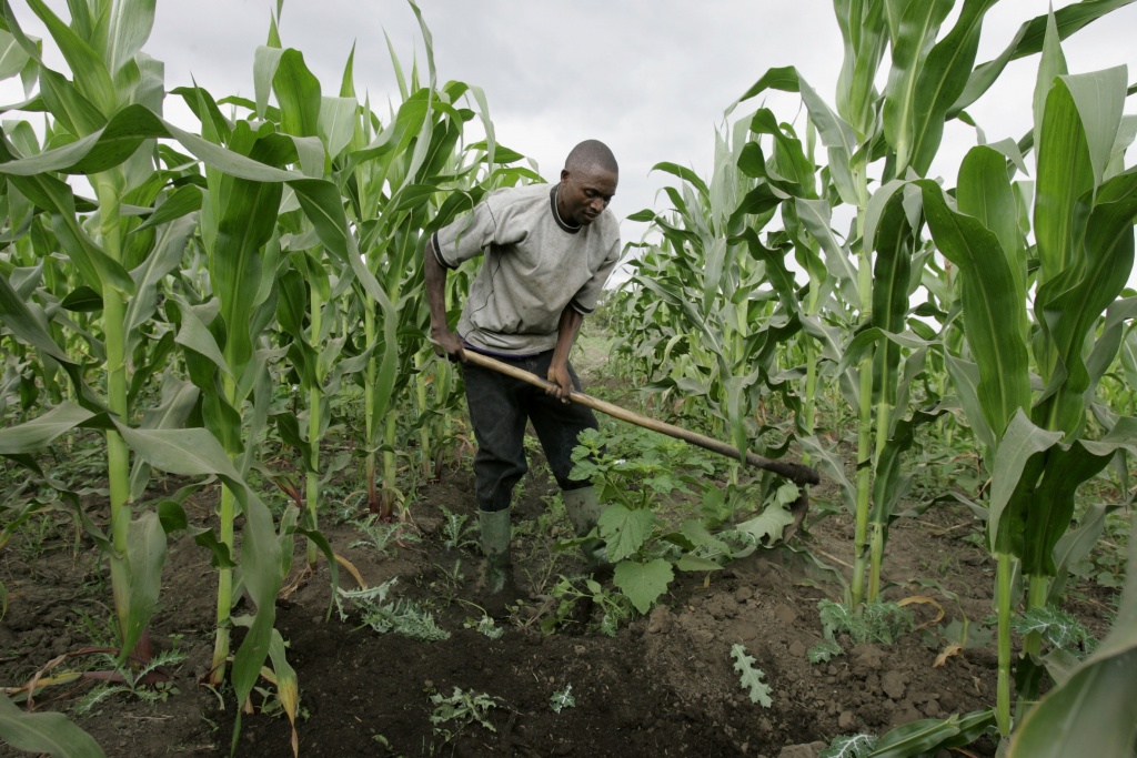 African-farmer.jpg