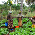 Women-in-Agriculture.jpg