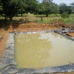 damliner-waterharvesting.jpg