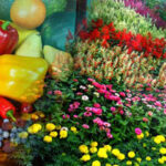 horticultural-crops.jpg