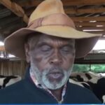richard mibei dairy farmer.JPG