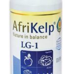 AfriKelp LG-1 South Africa.jpg