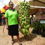 Banana giant Naomi Wahu by Laban Robert.JPG