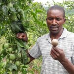 Elijah Langat , passion fruit farmer.jpg