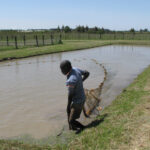 Aquaculture-Kenya-AwF-1.jpg
