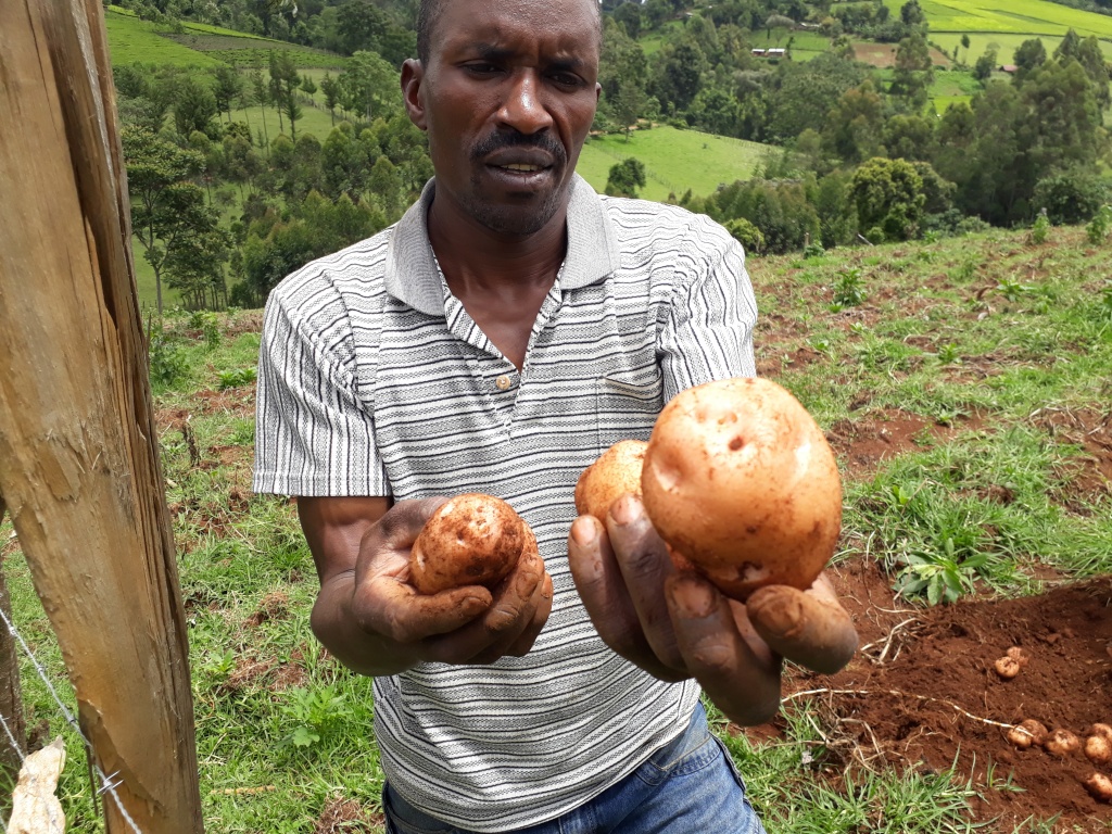 Bomet Potato farmer.jpg