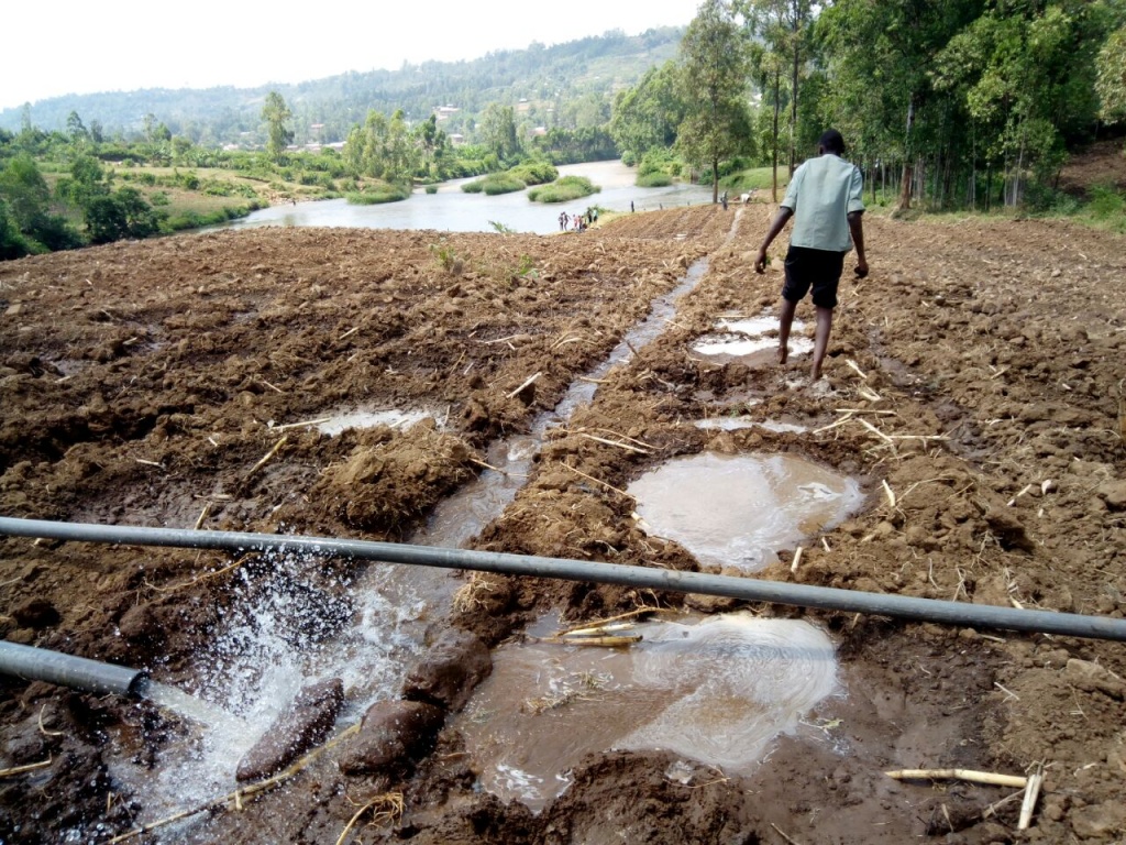 pumping water to channel and basins for irrigation.jpg
