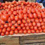 Tomatoes photo by New Vision.jpg
