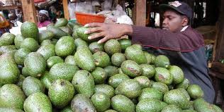 avocado-market.jpeg