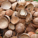 coconut husks