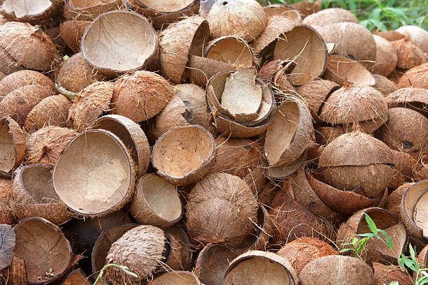 coconut husks