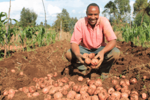 potato farmer nyandarua