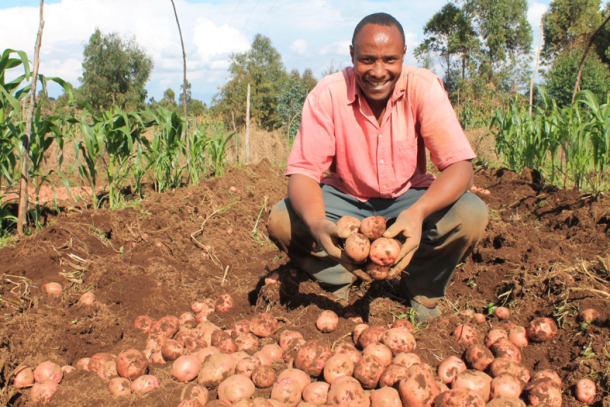 potato farmer nyandarua
