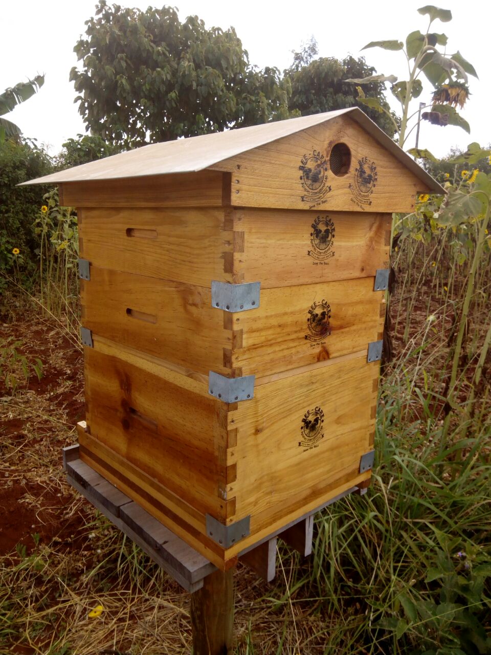 backyard beehive