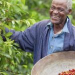 coffee farmer kenya