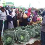 farmers1