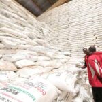 fertilizer subsidy