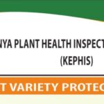 kephis seeds and plant varieties amendment act bill 2015