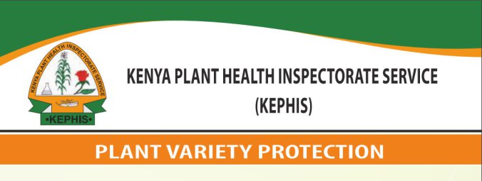 kephis seeds and plant varieties amendment act bill 2015