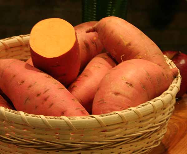 orange fleshed sweet potato