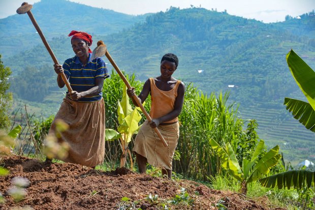 rwanda farmers