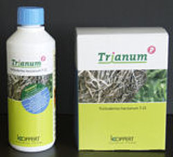 trianum beneficial fungus
